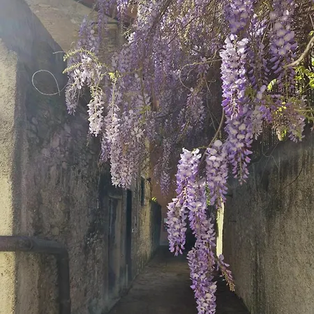 La Casetta Antica Dimora Nel Centro Storico Holiday home
